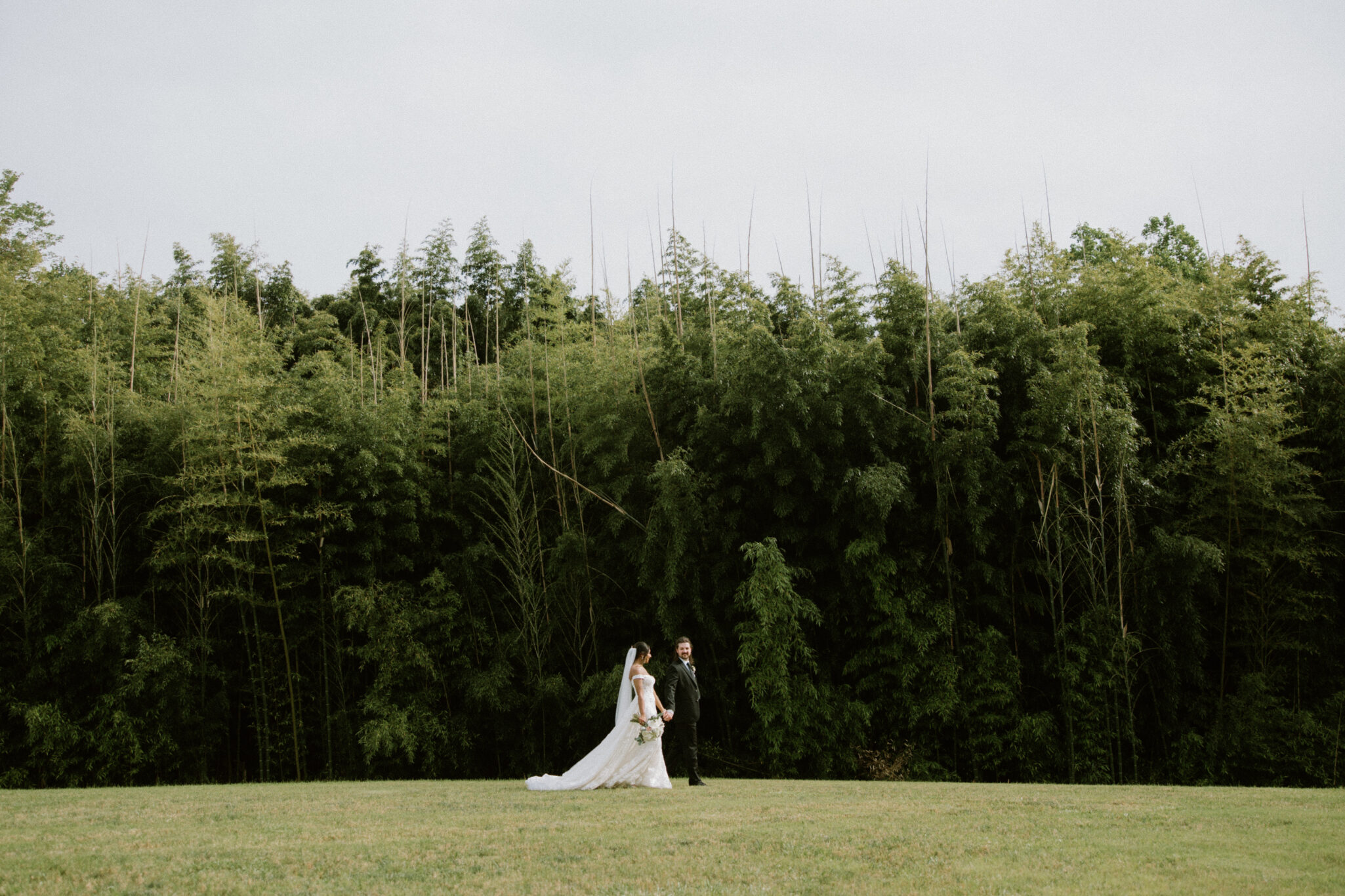 Bride in the Sunlit bamboo forrest of Camelot Meadows Wedding Venue in Charlotte 