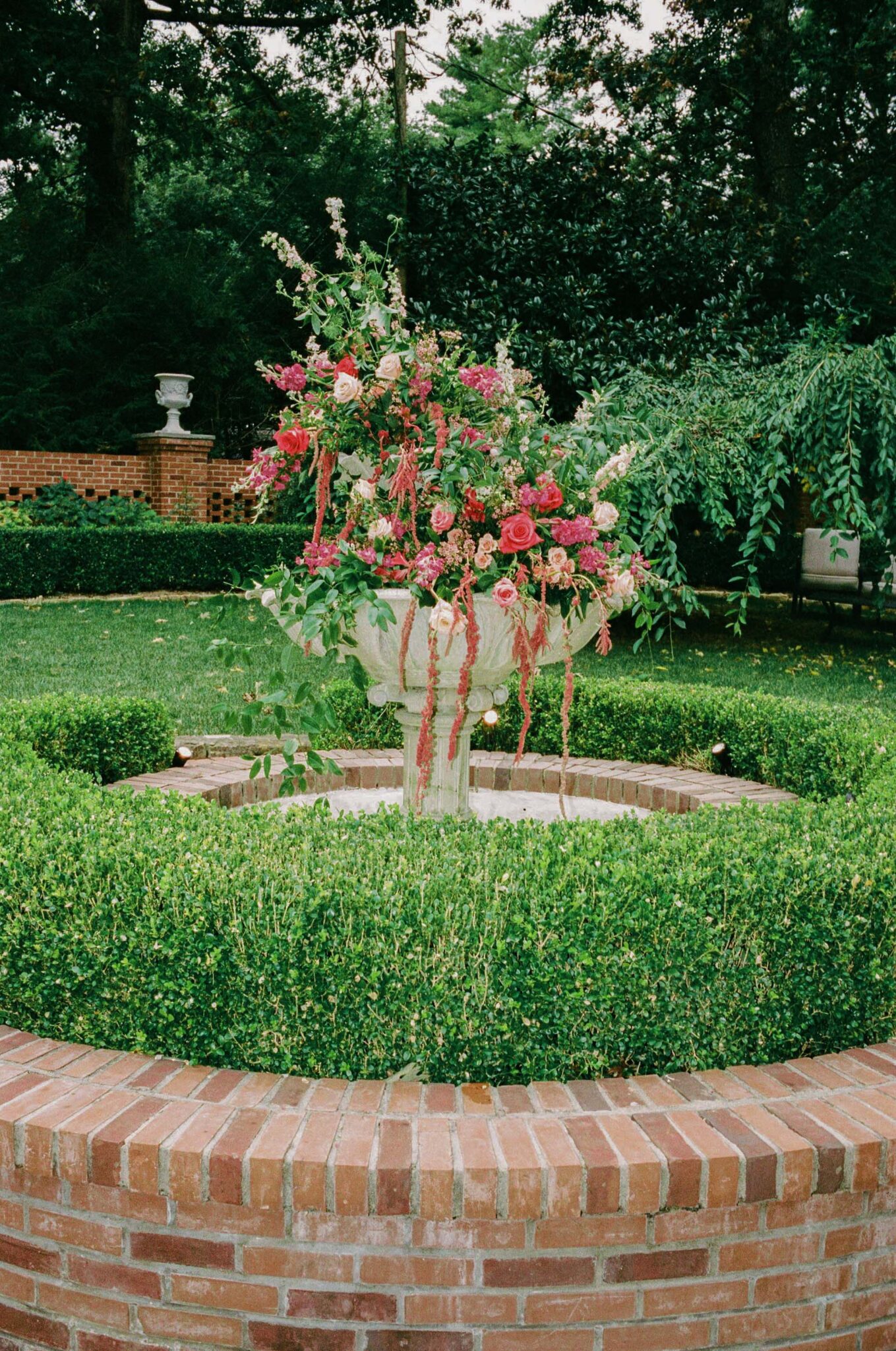 35mm film photography of a wedding in asheville, nc