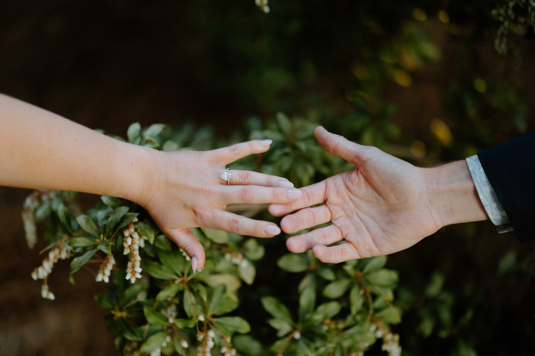 asheville wedding photographer A close-up of two hands reaching toward each other, one wearing an engagement ring, set against a background of green foliage—captured beautifully by an Asheville wedding photographer.