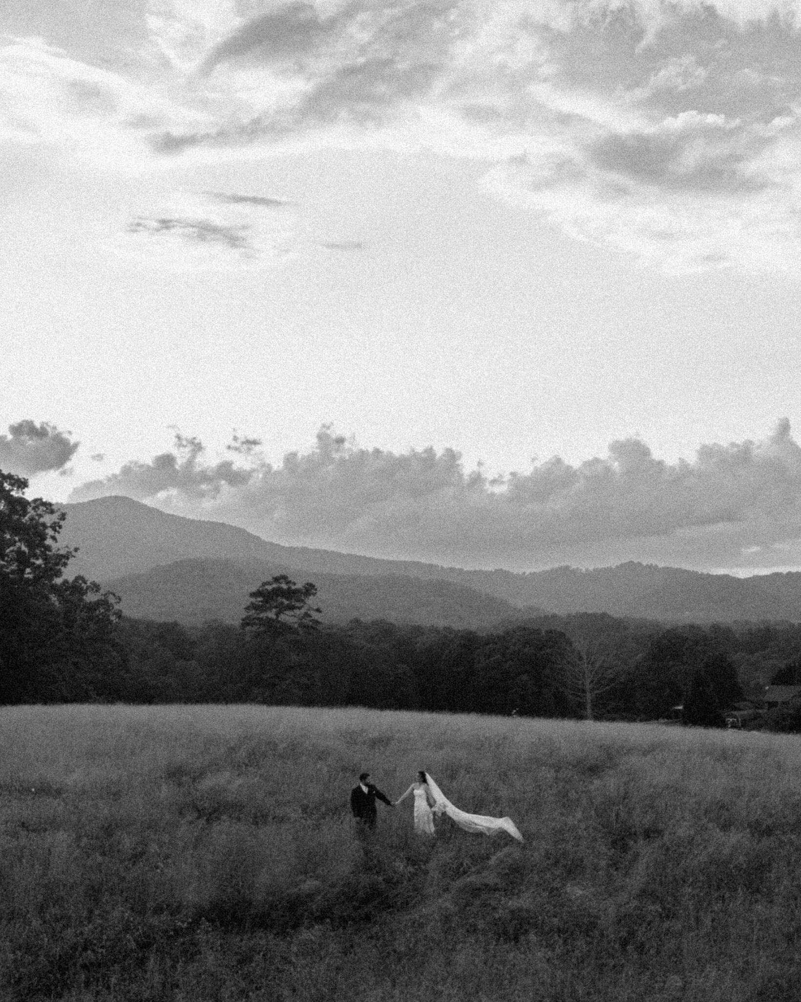 black and white Drone Photo at The Farm in Asheville