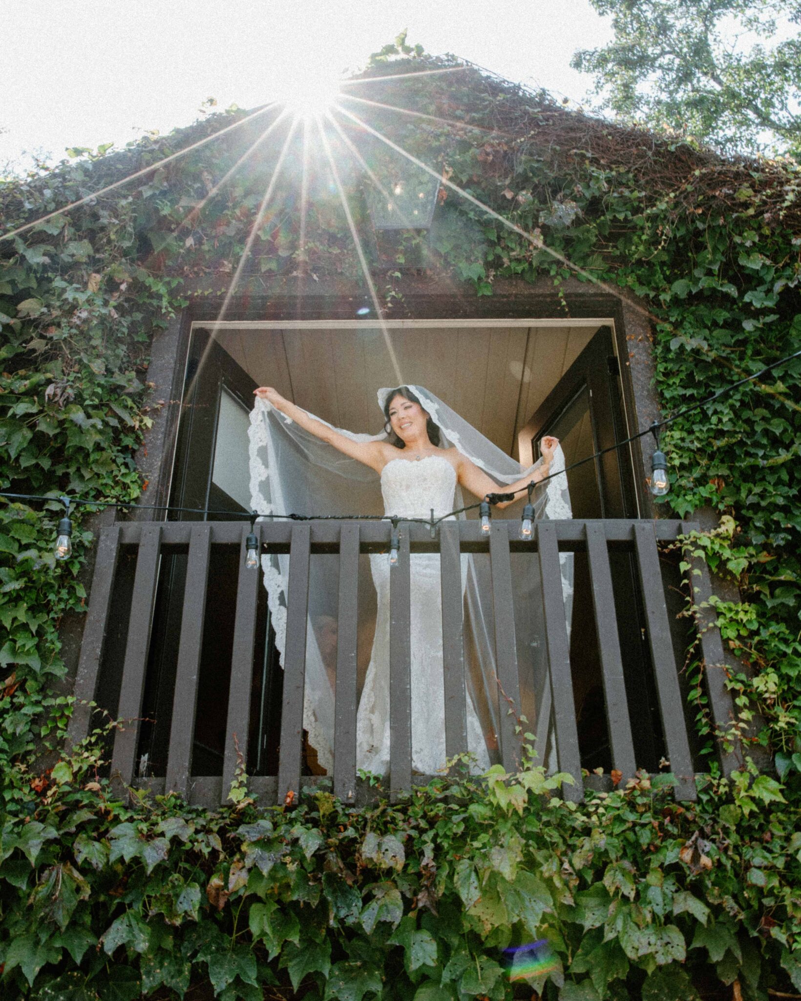 asheville wedding photographer A bride in a white wedding dress and veil stands on a balcony of an ivy-covered building, holding her veil open. Captured by an Asheville wedding photographer, sunlight shines above her, creating a radiant effect.