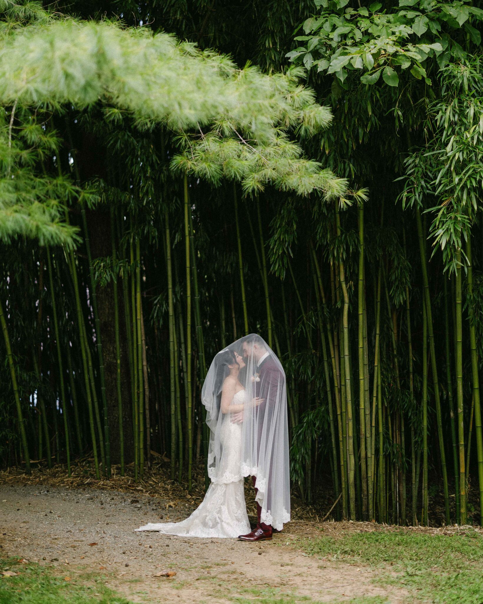 asheville wedding photographer A bride and groom stand closely together under a sheer veil, surrounded by tall green bamboo in an outdoor setting. Captured by an Asheville wedding photographer, the scene is serene and romantic.