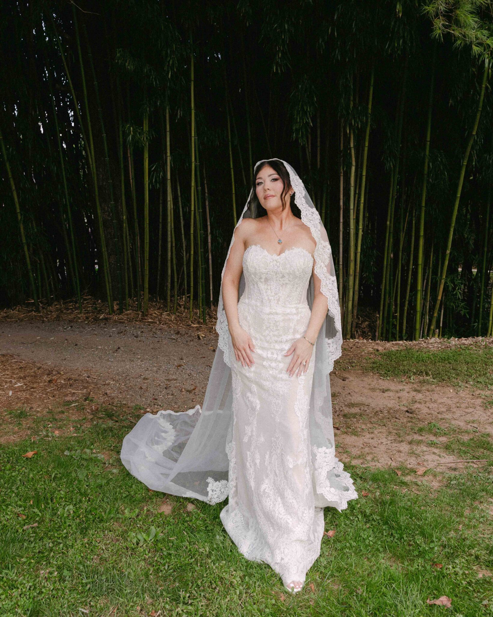 asheville wedding photographer A bride in a lace wedding dress and long veil stands on grass before a bamboo grove, looking forward with her hands resting on her dress, beautifully captured by an Asheville wedding photographer.