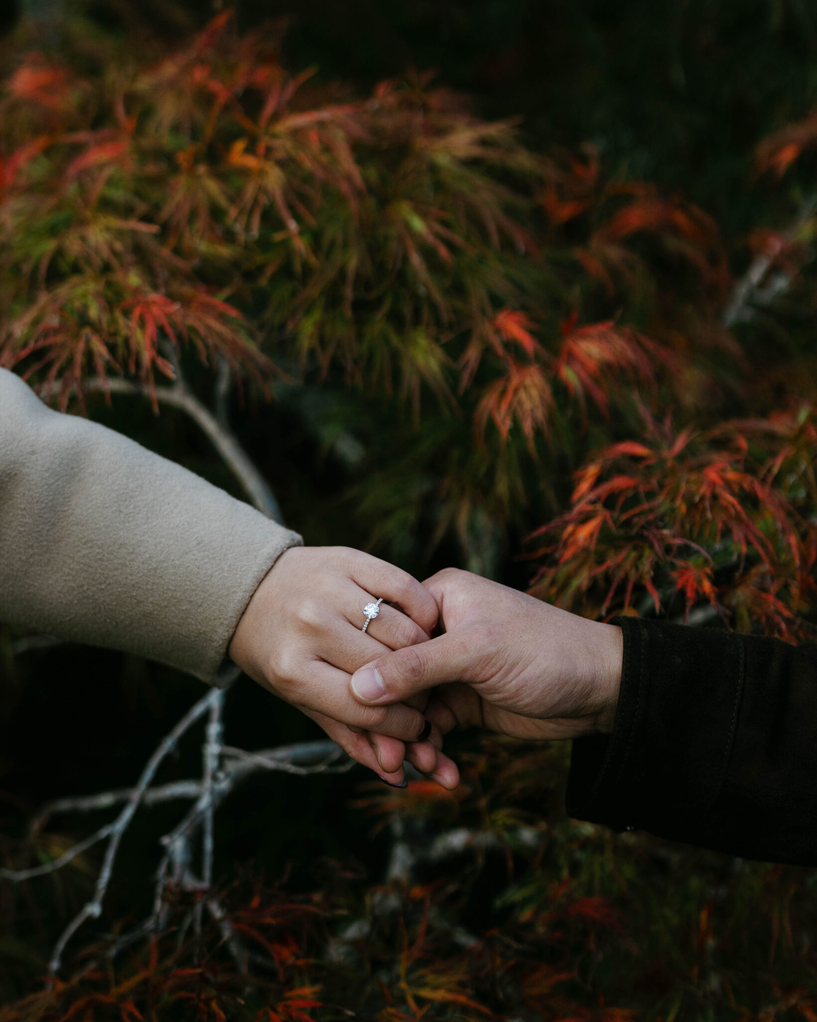 asheville wedding photographer Two people hold hands in front of autumn foliage—one wears a beige sleeve with an engagement ring, the other a dark sleeve. Captured by an Asheville wedding photographer, this moment glows with love and golden leaves.