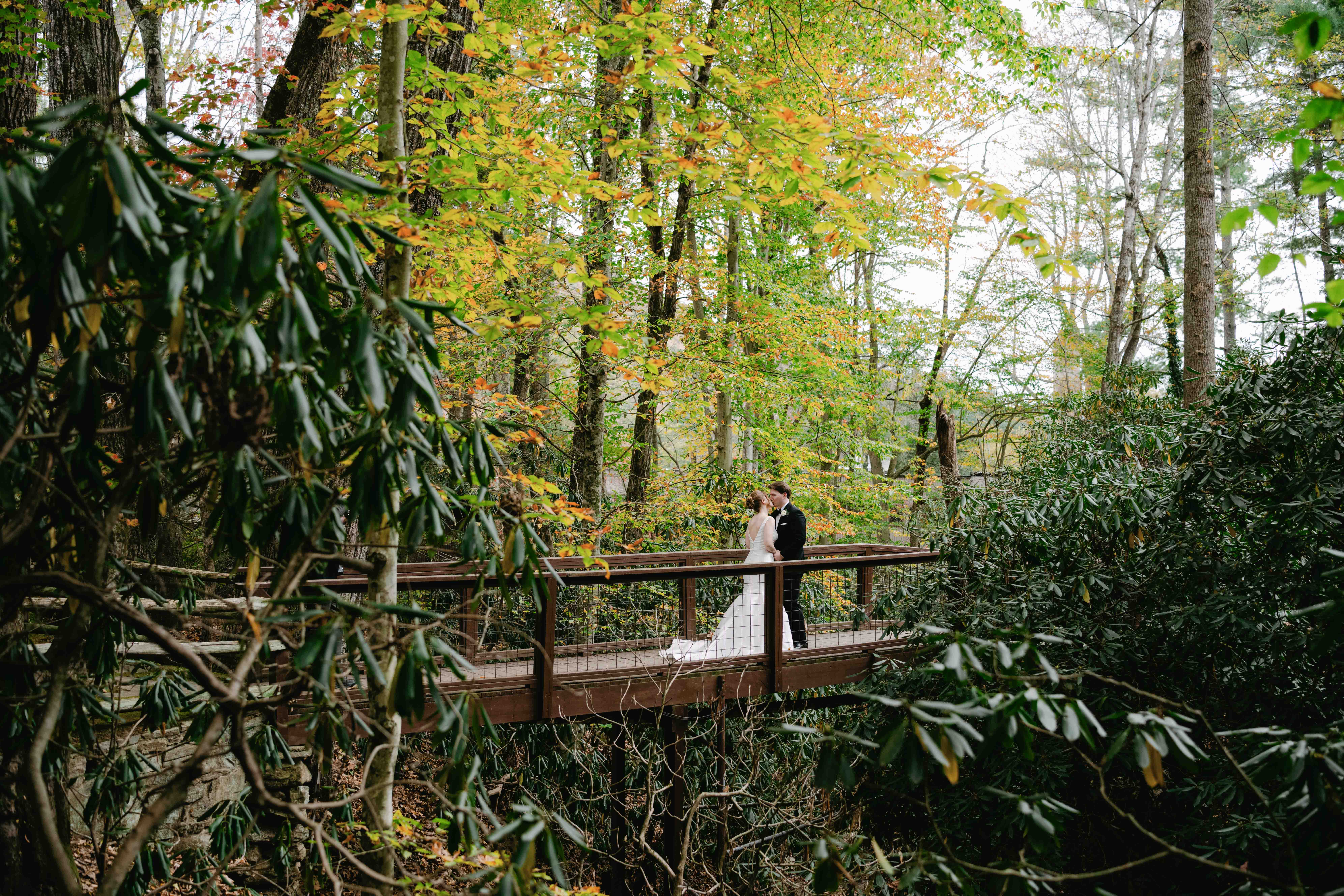 asheville wedding photographer A bride and groom stand together on a wooden bridge in a lush, green forest as leaves turn yellow and orange, creating a romantic, serene atmosphere—perfectly captured by an Asheville wedding photographer.