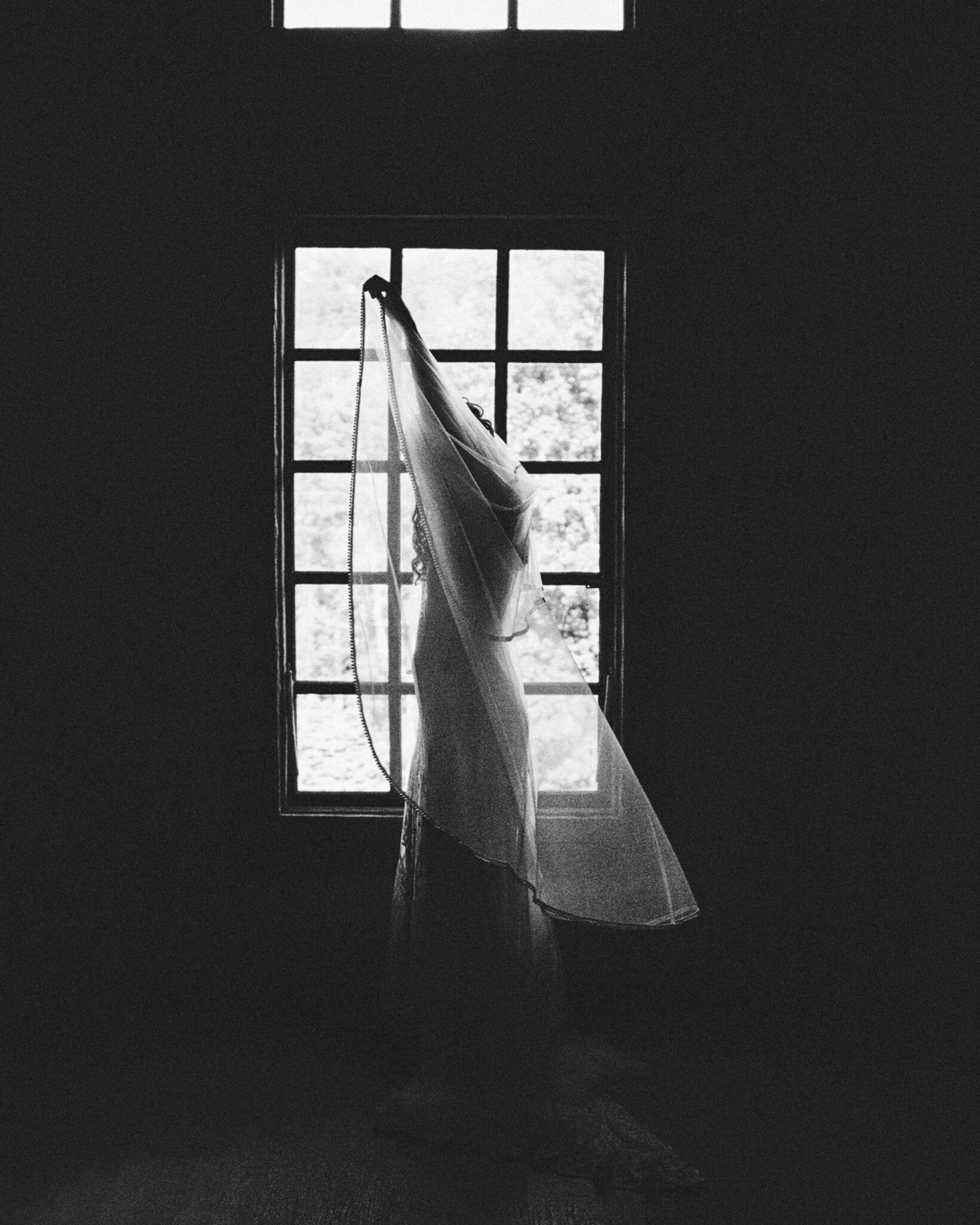 asheville wedding photographer A bride in a wedding dress and veil stands before a tall window, holding the edge of her veil. Captured in black and white film photography, the dramatic lighting recalls elegant Biltmore Estate weddings.
