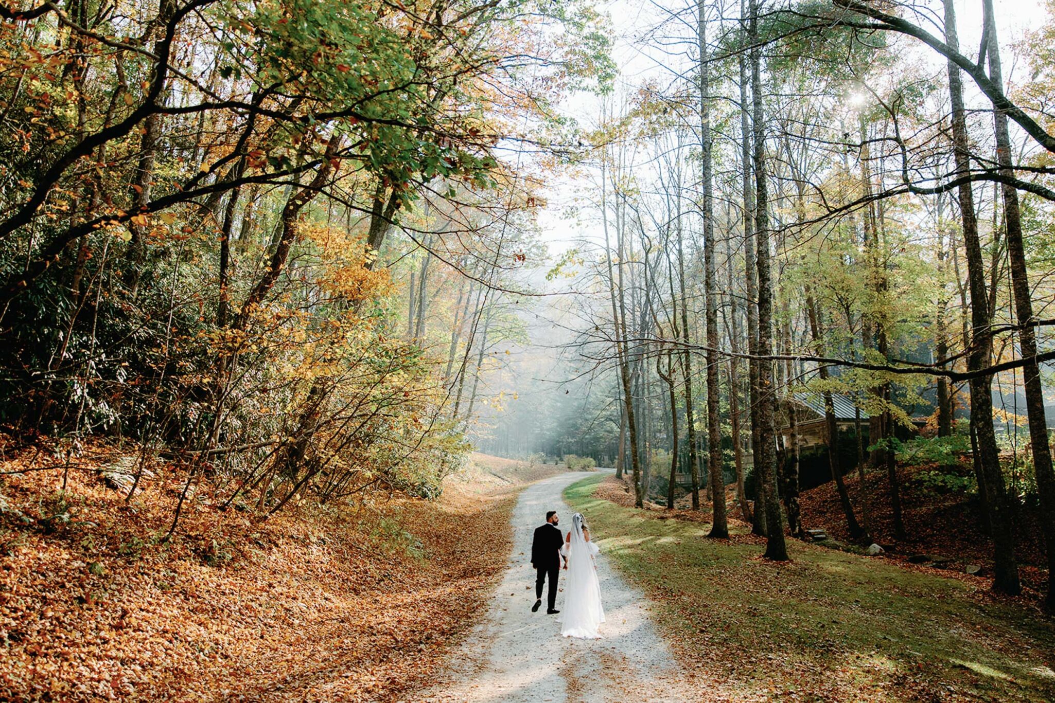 A bride and groom walk hand in hand down a leaf-covered forest path on an autumn day, surrounded by tall trees with golden and green foliage. Sunlight filters through the branches, creating a serene, romantic atmosphere.