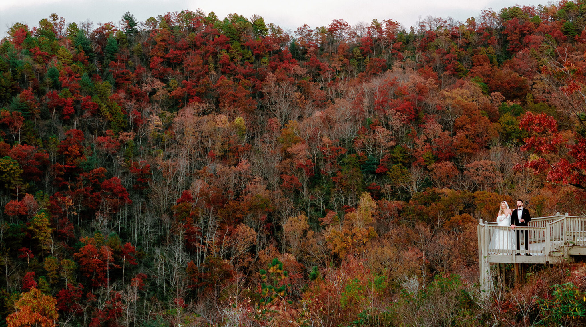 A bride and groom stand on a wooden overlook, surrounded by a dense forest of autumn trees with vibrant red, orange, and yellow foliage.