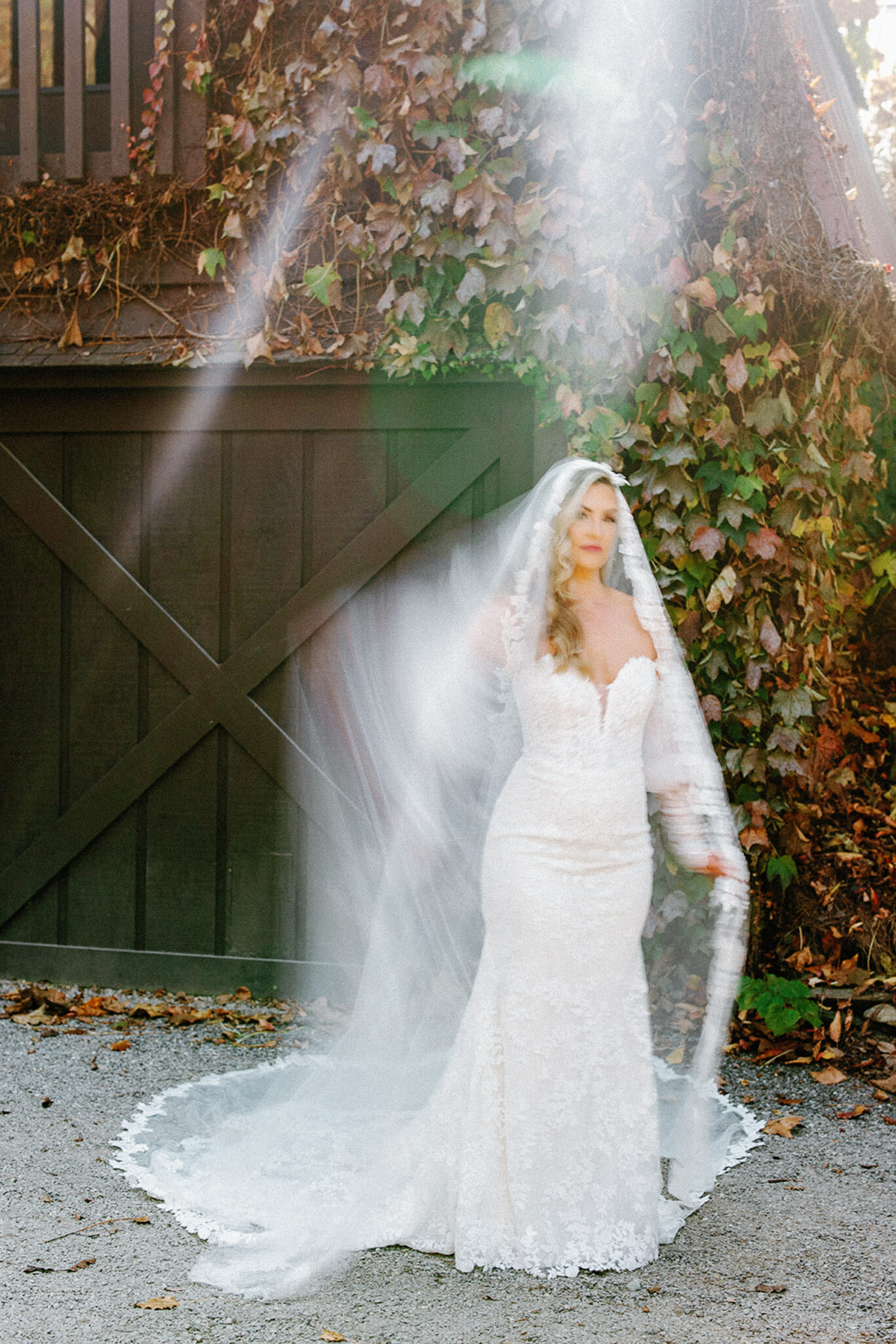A bride in a lace wedding dress and long veil stands outside near a dark wooden gate covered in ivy, with sunlight streaming down and creating a soft, dreamy effect.