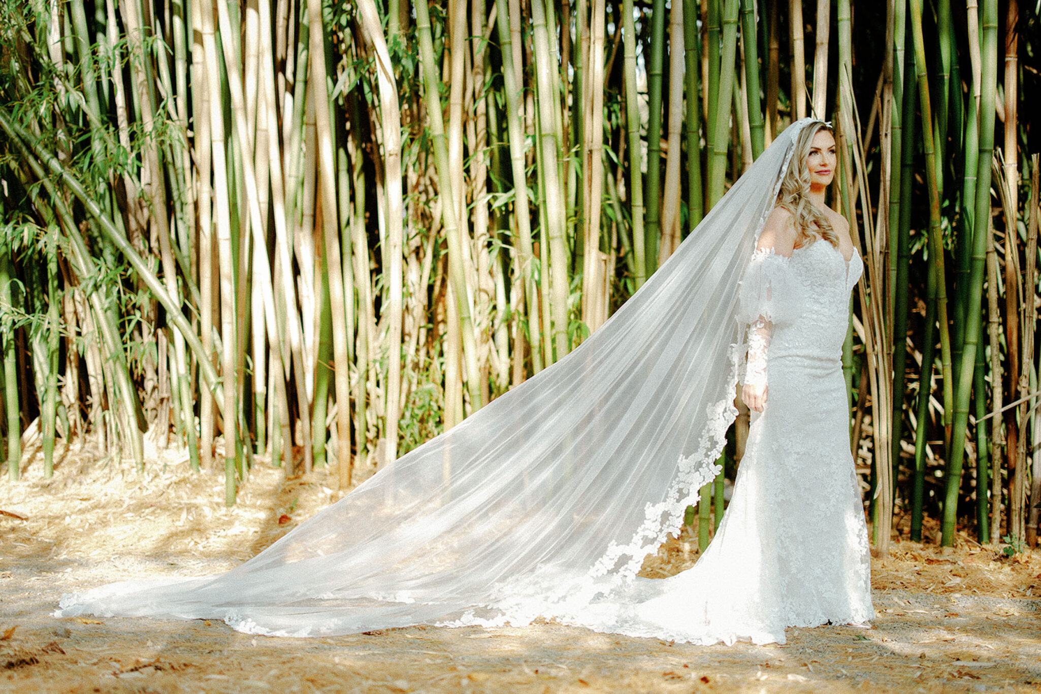 A bride in a white lace wedding dress stands outdoors in front of tall bamboo, her long, flowing veil trailing behind her at Hawkesdene, capturing the magic of a full wedding weekend reunion style celebration.