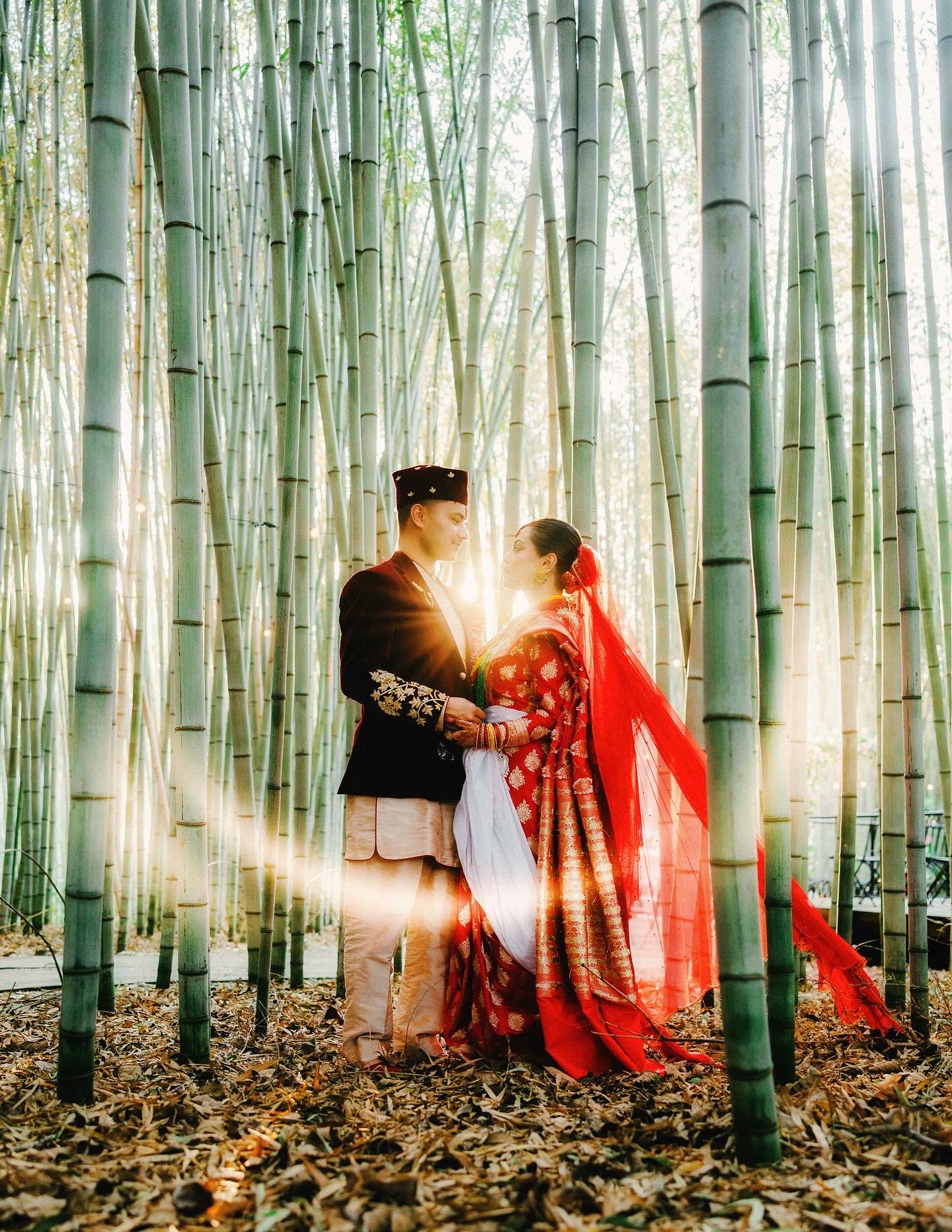 A couple in traditional attire stands facing each other in a sunlit bamboo forest. The woman wears a red saree with golden details, and the man wears a dark sherwani and cap. Sunlight streams through the bamboo, creating a romantic glow.