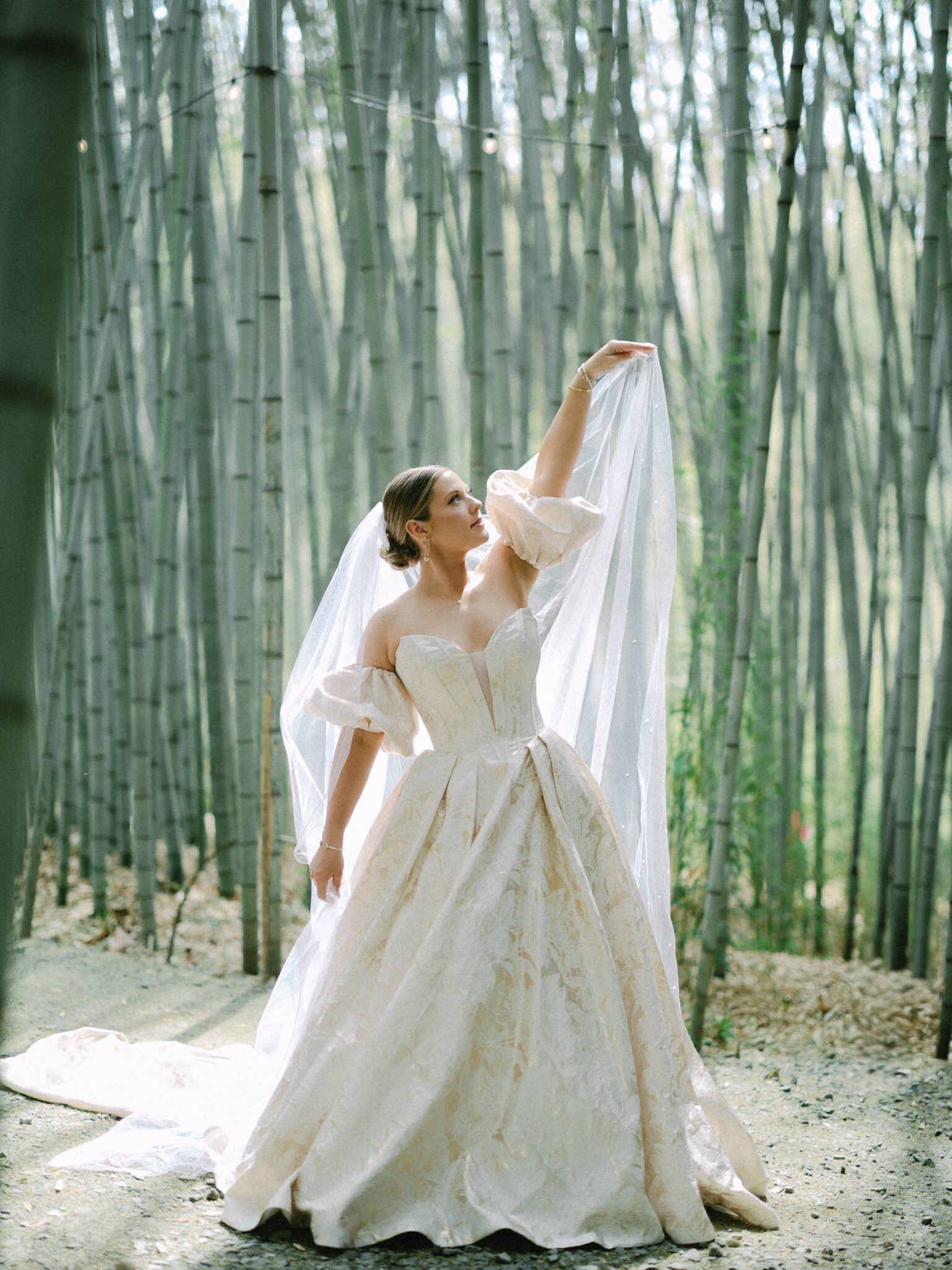 A bride in an elegant ivory gown with puffed sleeves poses in a bamboo forest, holding up her sheer veil as sunlight filters through the trees.