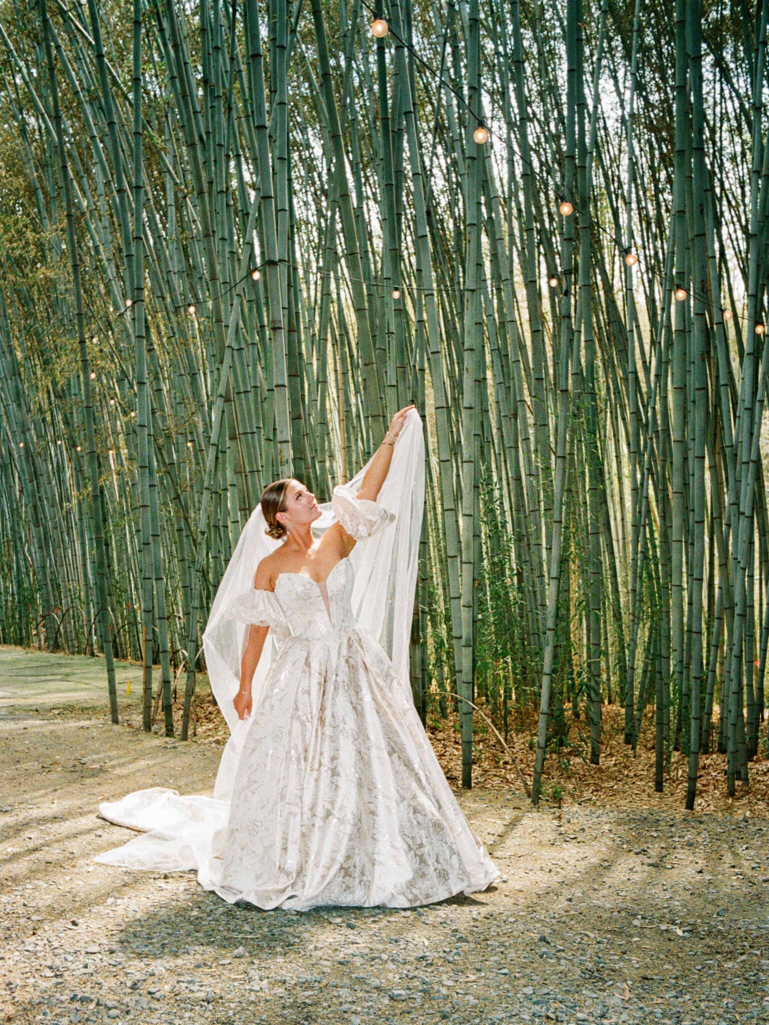 A bride in a flowing white gown stands gracefully among tall bamboo stalks, holding up her veil as sunlight filters through the trees, creating a serene and enchanting atmosphere inspired by https://youtu.be/BkaVYCFu-4o.