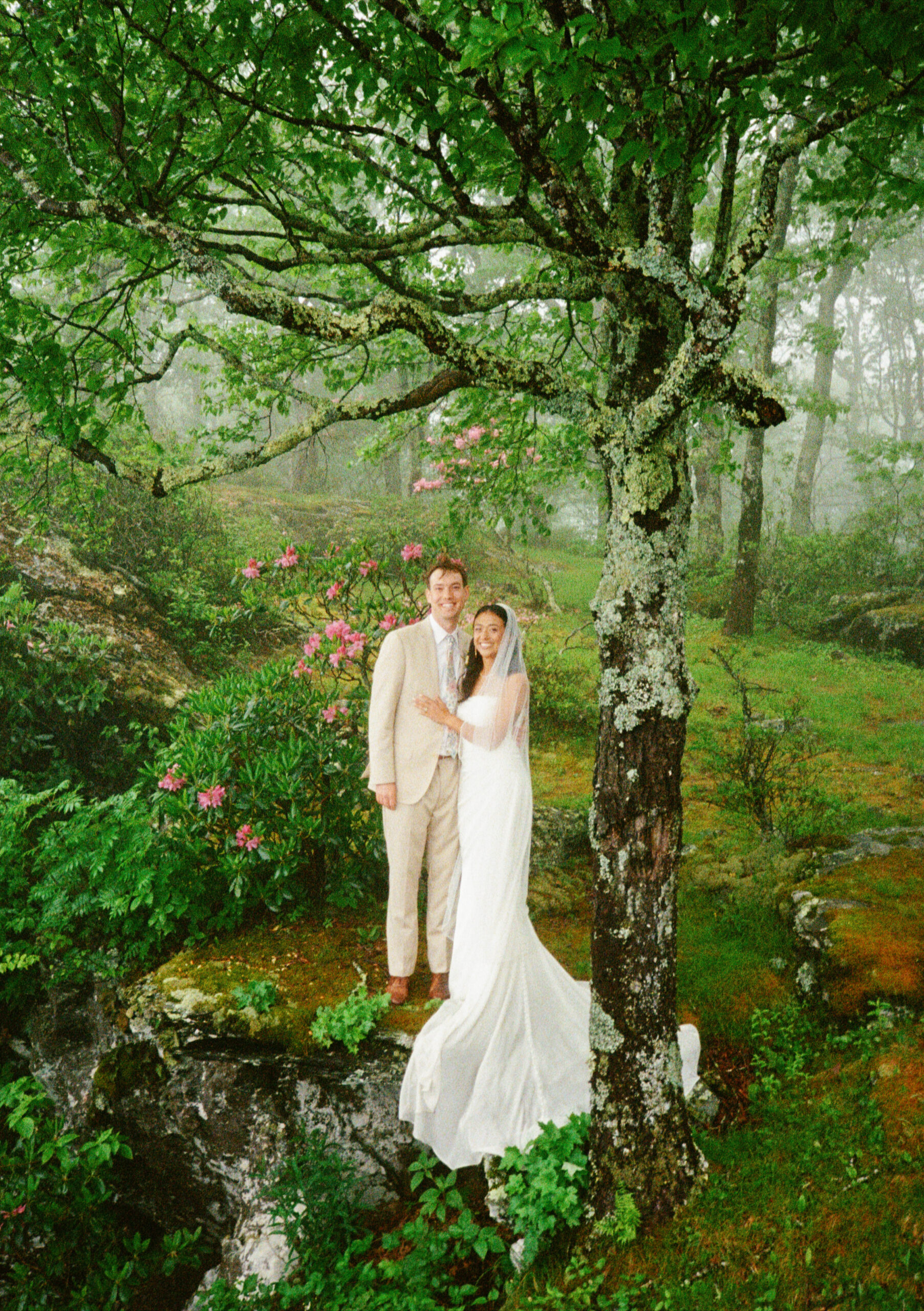 Couple beneath a mossy tree in a misty Western North Carolina garden, photographed on film