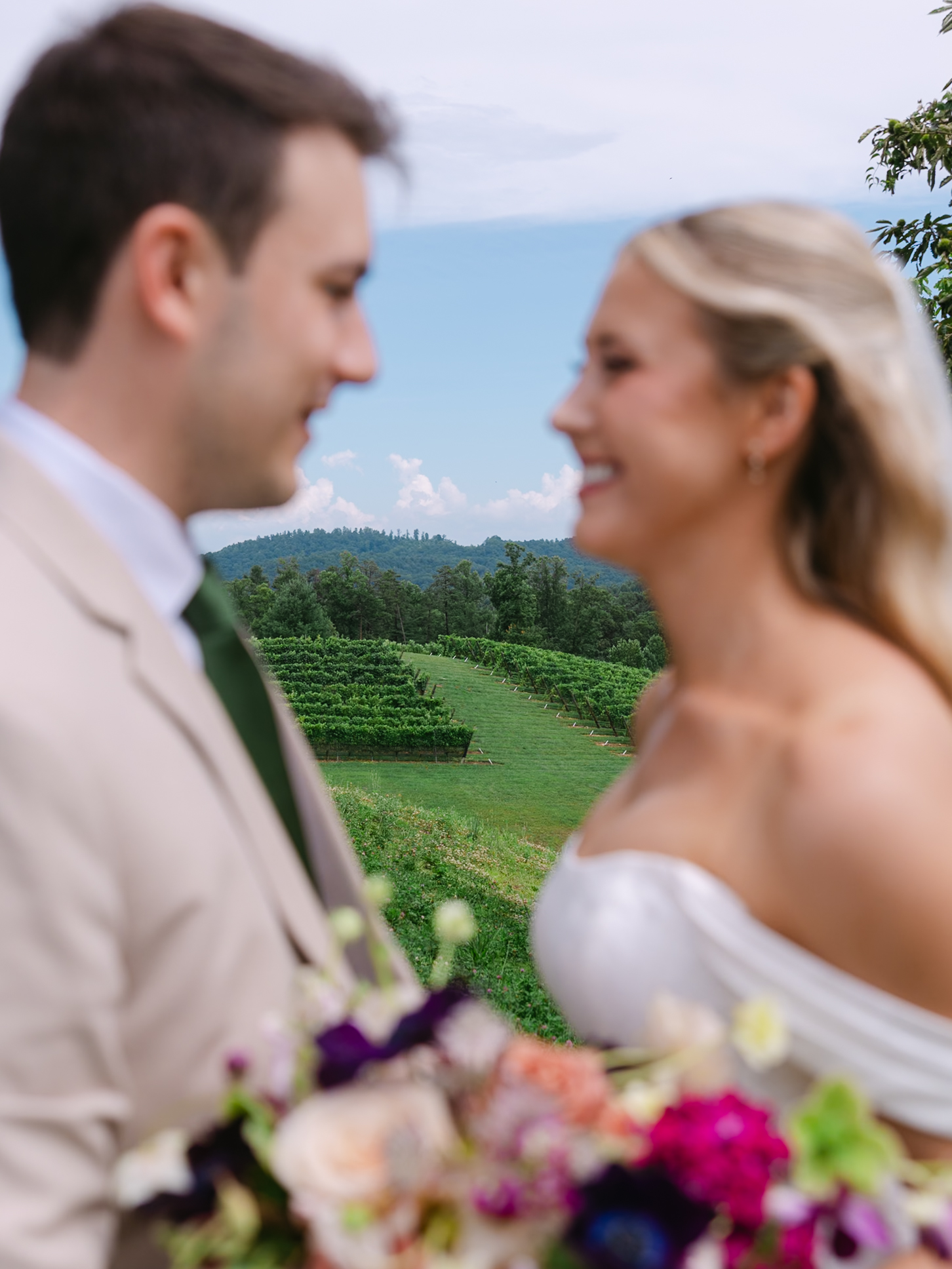 A bride and groom smile at each other in the foreground, with green vineyards and distant hills in the background under a blue sky.