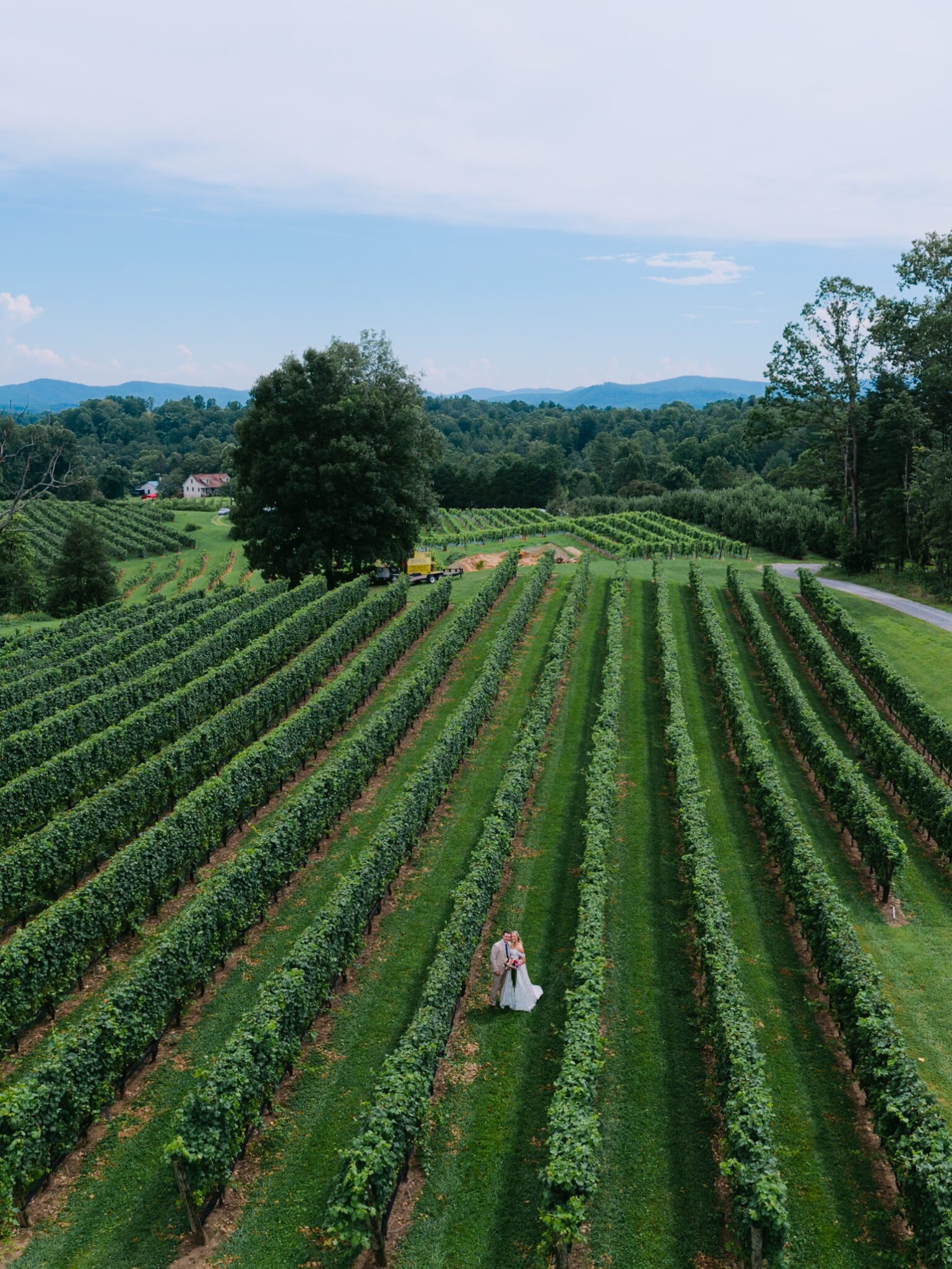 A couple in wedding attire stands among rows of lush green grapevines at Marked Tree Vineyards, surrounded by trees and distant mountains under a partly cloudy sky.