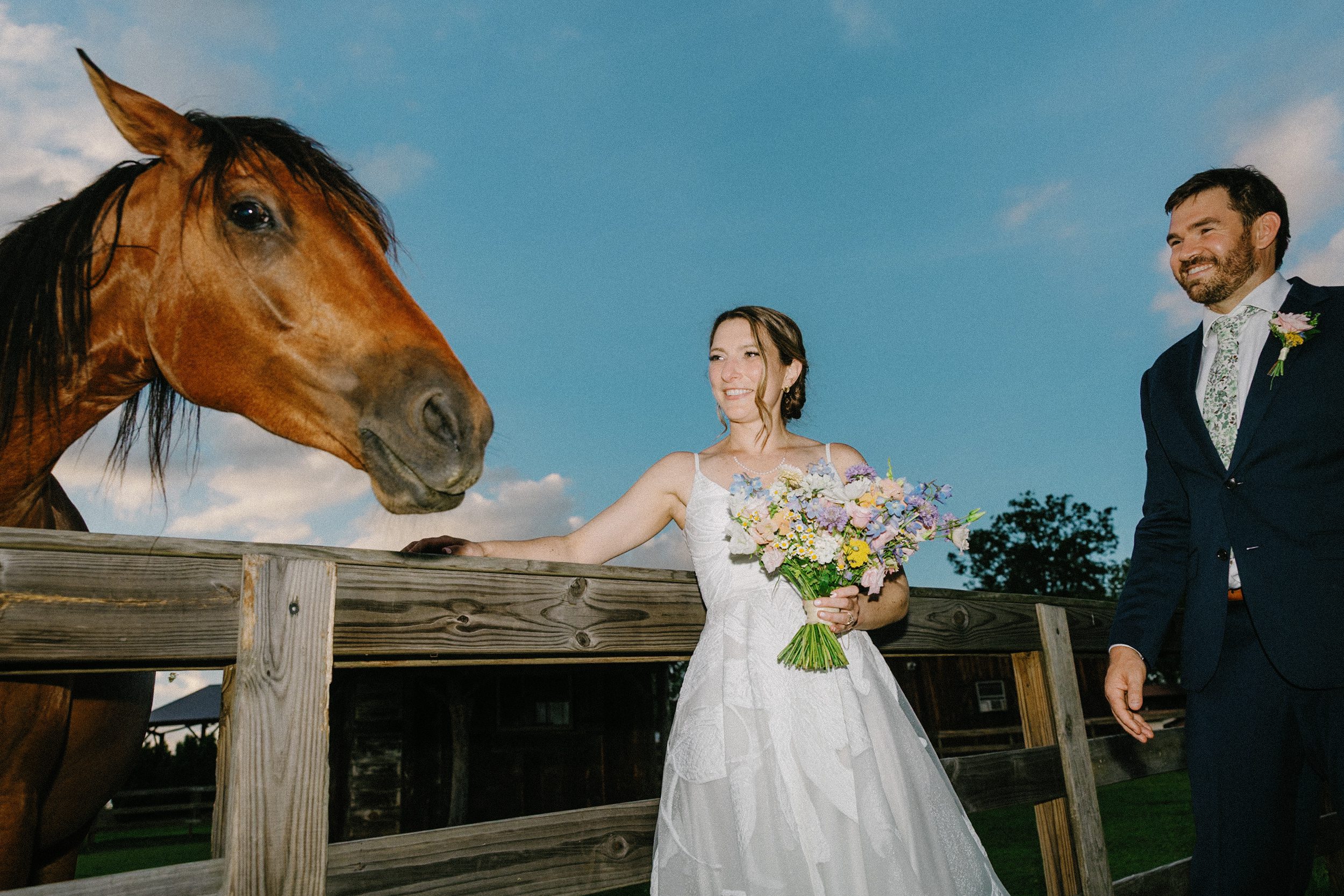 Bride reaching toward a horse while holding her bouquet
