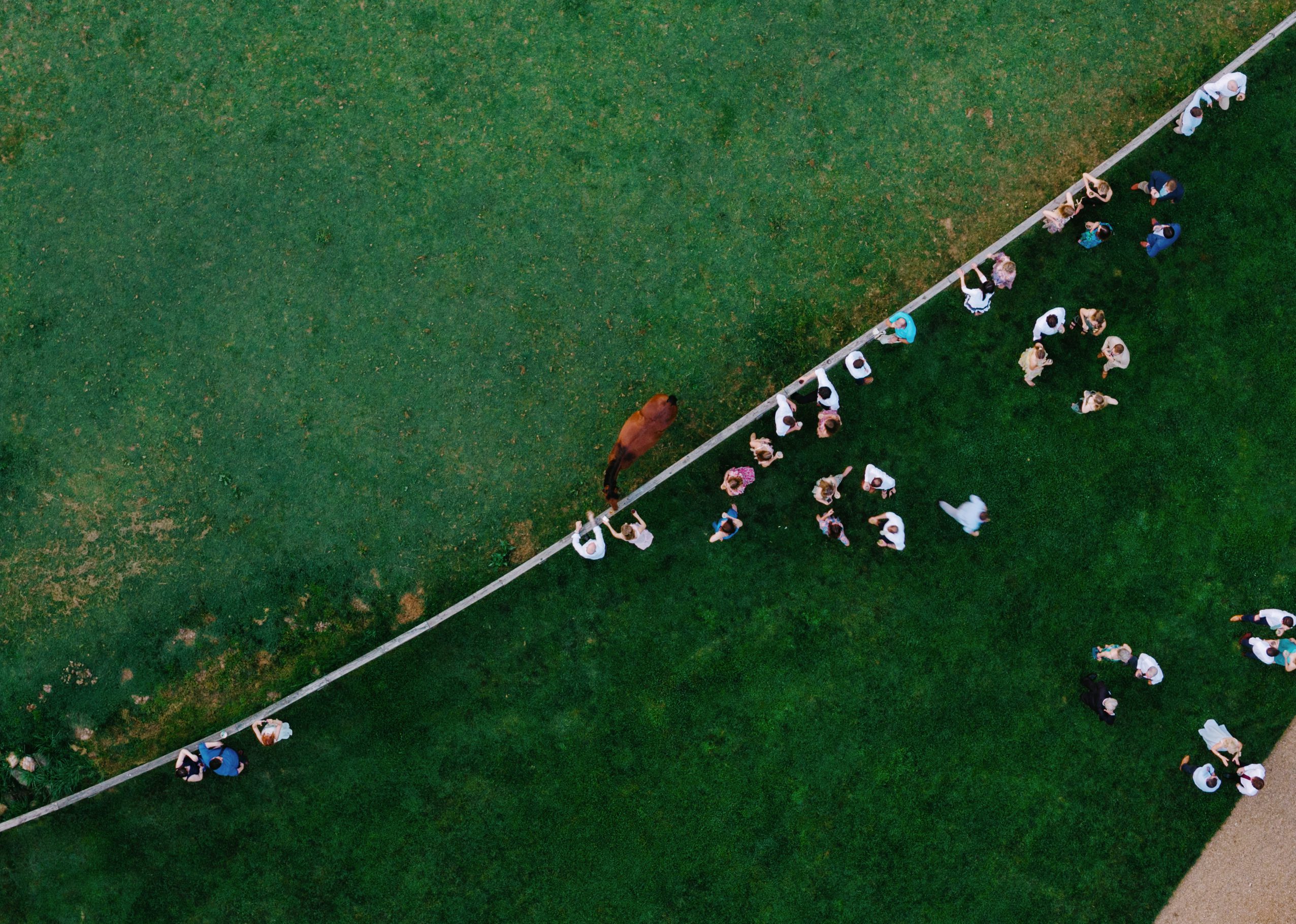 Aerial photograph of guests visiting a horse at the pasture fence