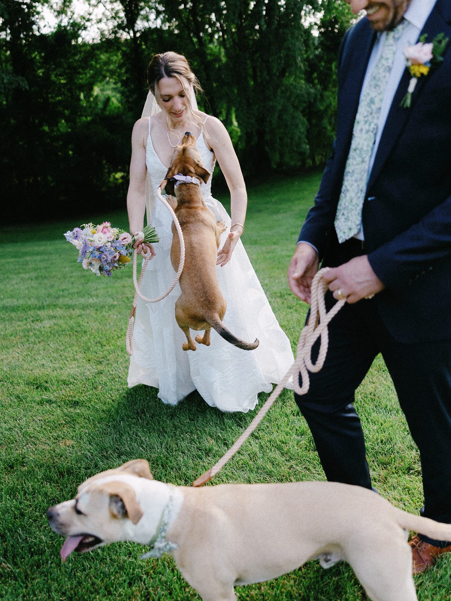 Bride with her dog wearing a floral bow tie