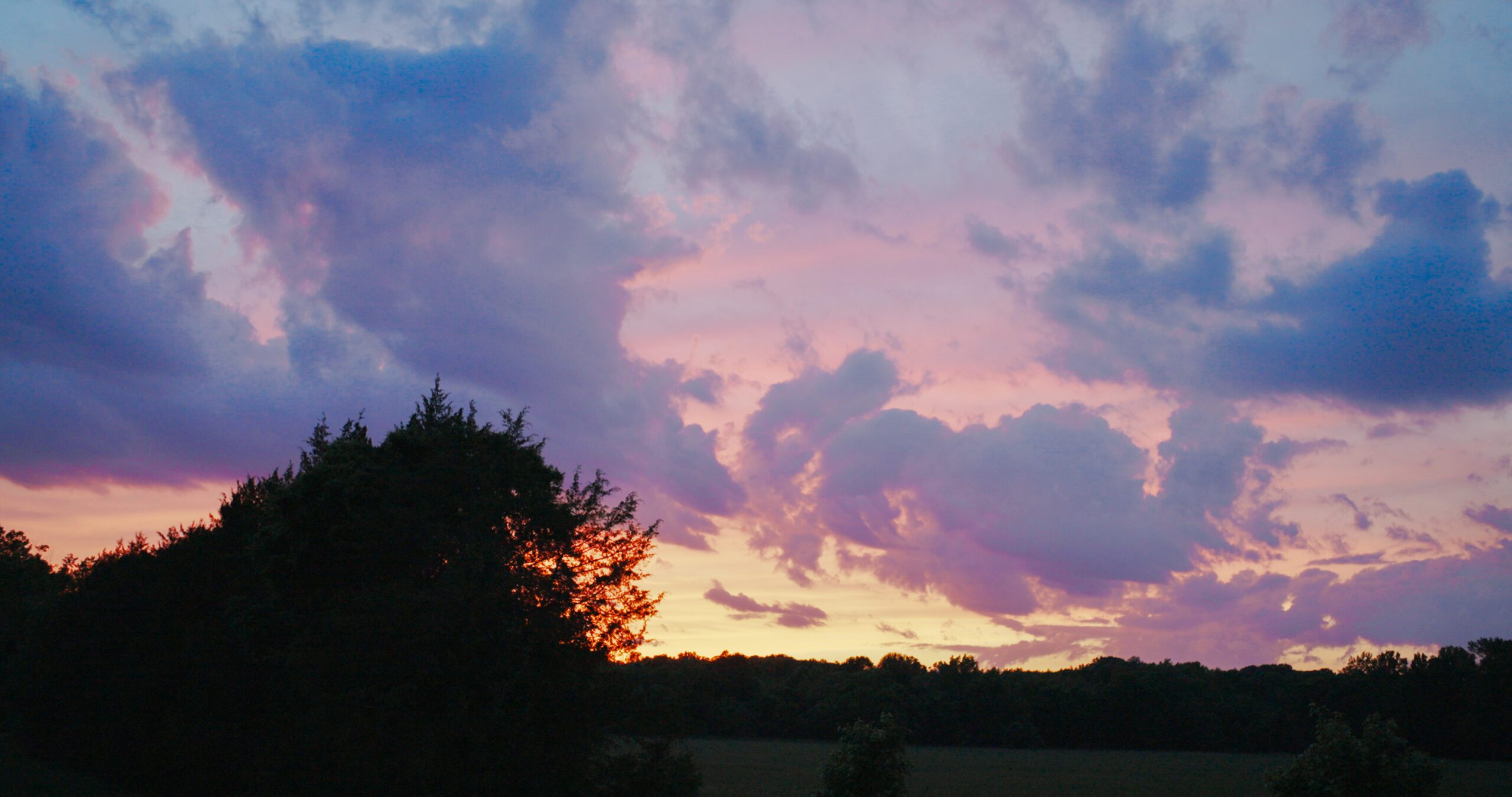 Pink and purple sunset clouds above the meadow and tree line at Haven Ridge.