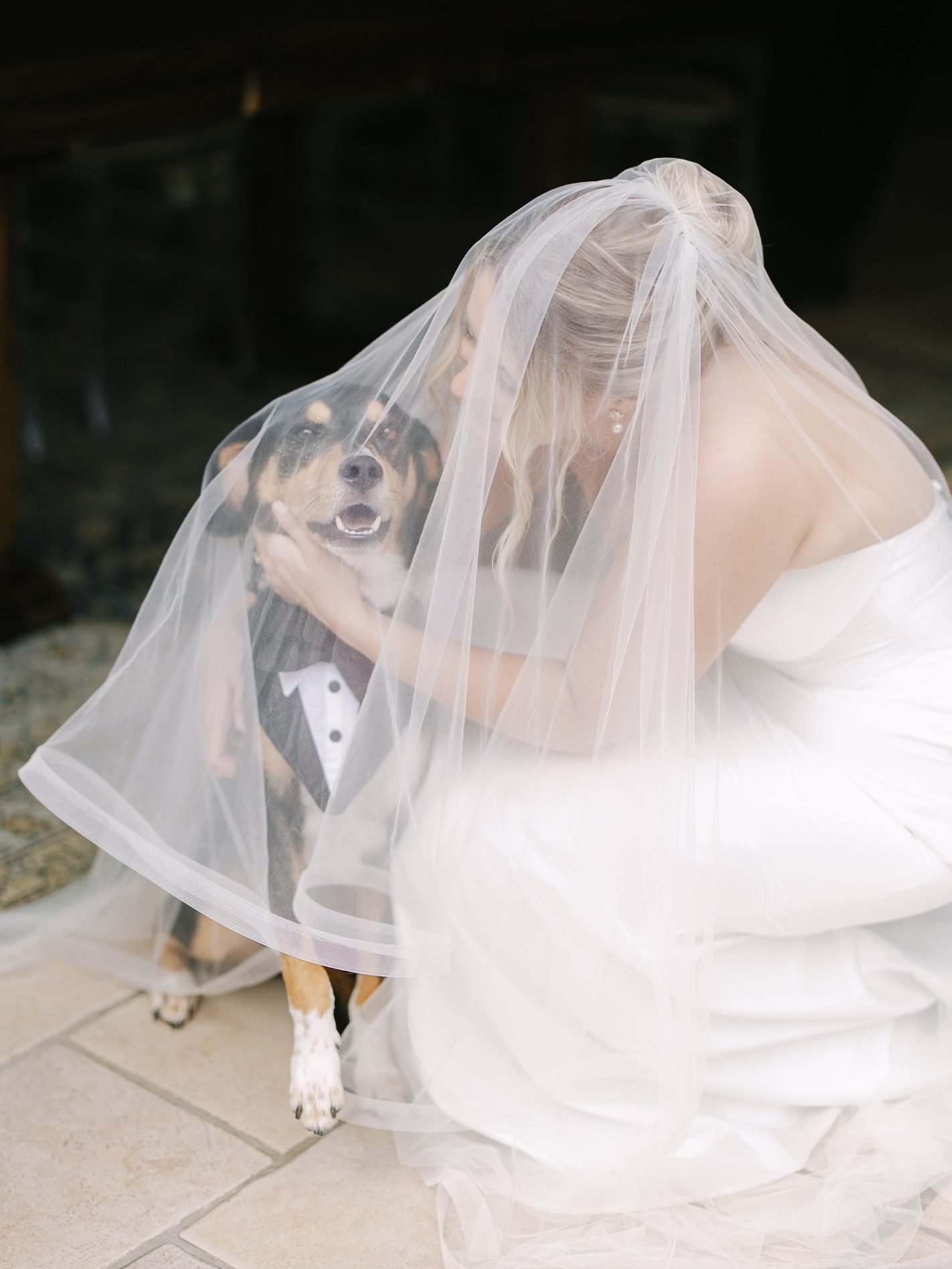 A bride in a wedding gown kneeling and hugging a dog wearing a tuxedo collar under her wedding veil.