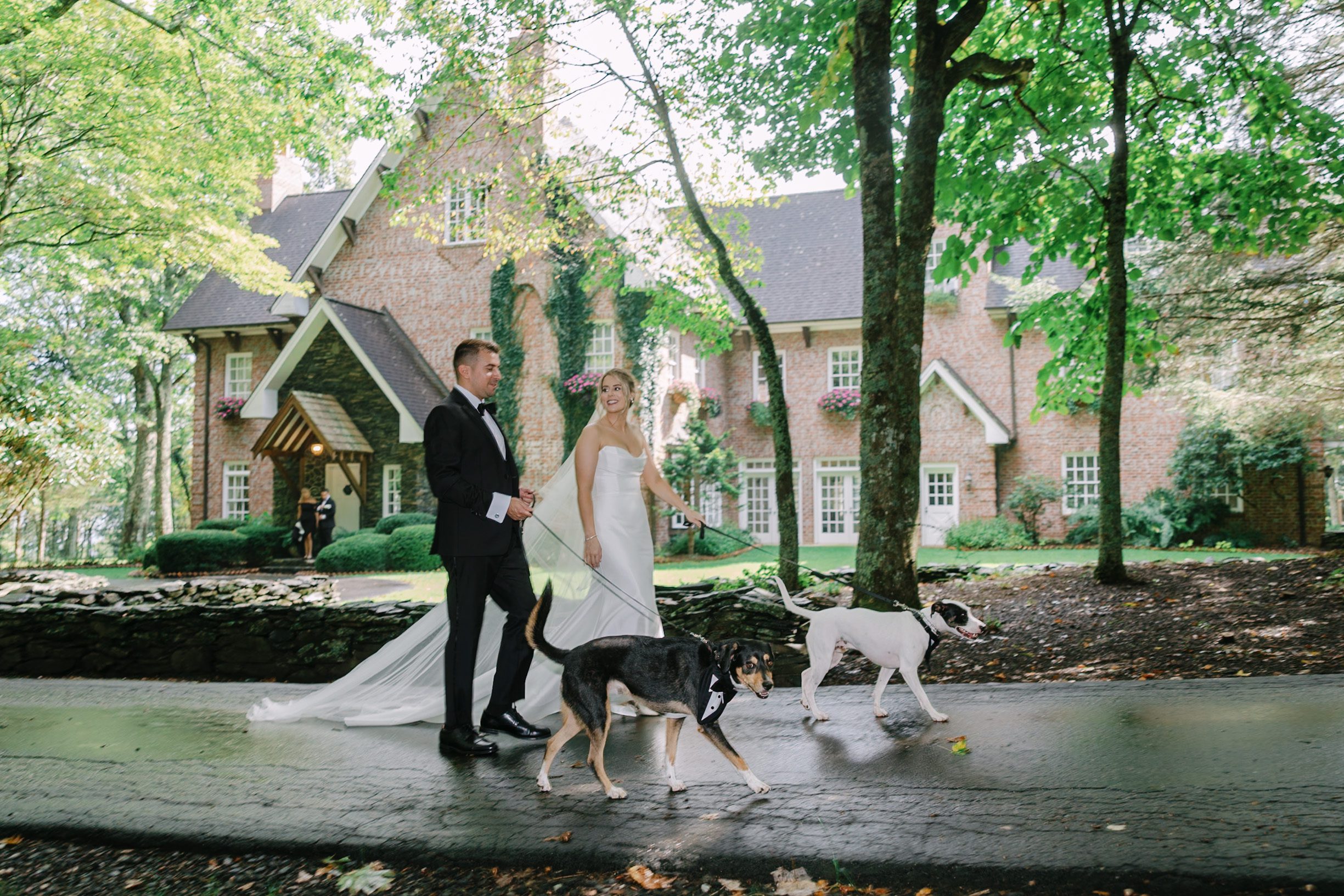 A bride and groom in wedding attire walk two dogs on leashes on a paved path in front of a brick house.